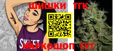 apvp Новодвинск