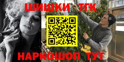 индика Нальчик