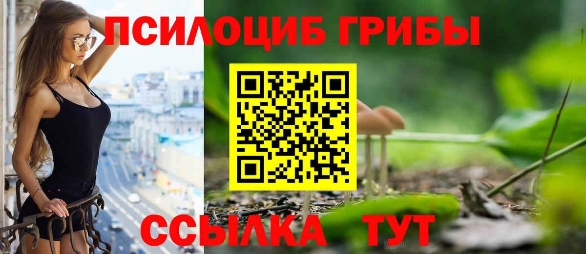 Галлюциногенные грибы Magic Shrooms Губкин